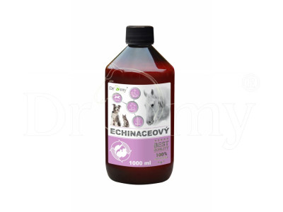 Dromy Echinceový sirup, 1l