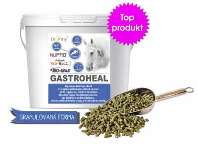 Dromy Gastroheal