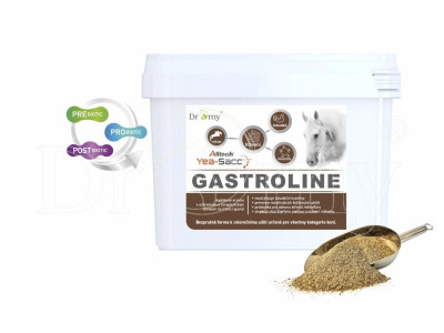 DROMY Gastroline 3Kg